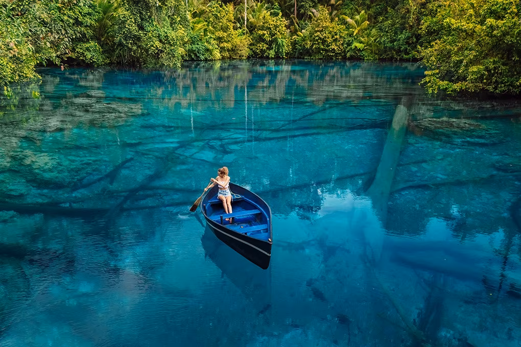 Toute la beauté de Sulawesi : Des rivages Bugis aux récifs coralliens du nord